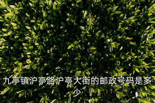 九亭鎮(zhèn)滬亭路滬亭大街的郵政號碼是多少