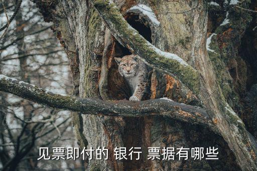 銀行票據(jù),匯票按付款時間可分為即期匯票和遠(yuǎn)期匯匯
