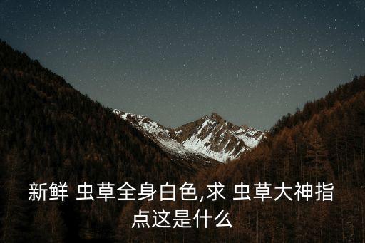 白蟲草,冬蟲草人參湯:白蘿卜一小塊菌草花湯即可食用