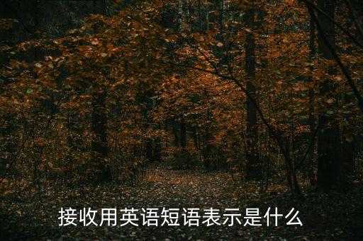 接收，接收用英語短語表示是什么