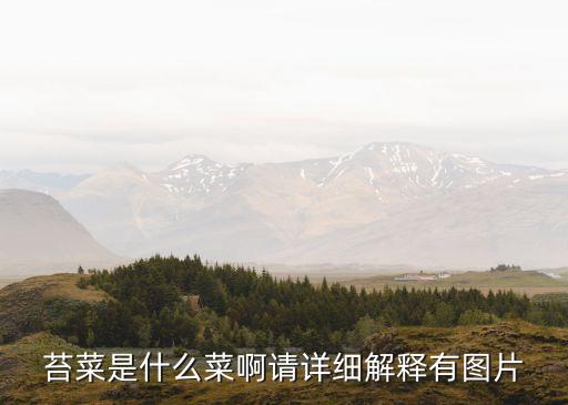 苔菜是什么菜啊請(qǐng)?jiān)敿?xì)解釋有圖片