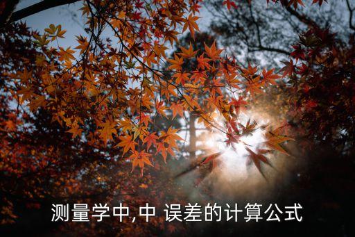 中誤差,實(shí)地測(cè)量中發(fā)現(xiàn)傾斜誤差影響較大