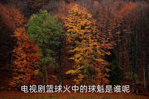 大學一年級電視劇,中央戲劇學院文化課第一名張可瑩復考成功