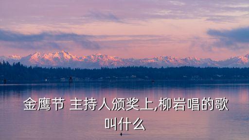 金鷹節主持人,《羊城漫步》主持人阿達獲頒金鷹節最佳主持