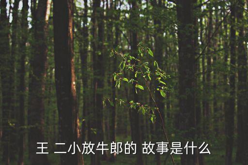 王二小故事,抗日英雄王二小烈士犧牲