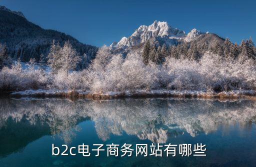  b2c電子商務網站有哪些