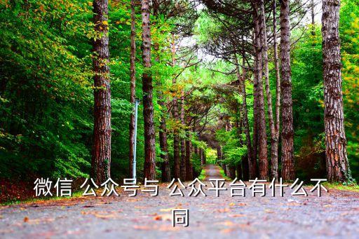 微信公眾帳號,利用公眾賬號平臺開展自媒體活動簡單說法