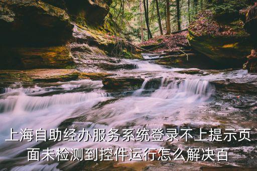 上海市自助經(jīng)辦平臺無法登錄，為什么現(xiàn)在上海網(wǎng)上營業(yè)廳登不上去了
