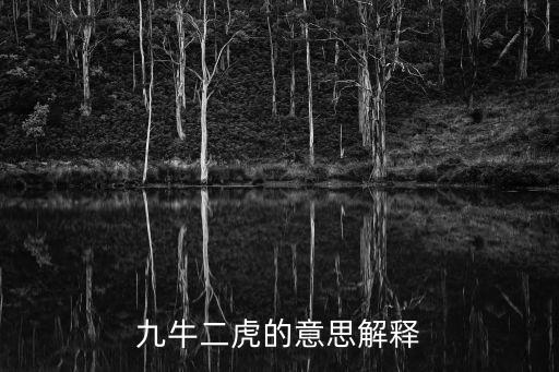 九牛二虎的意思解釋