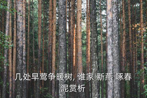 幾處早鶯爭暖樹, 誰家 新燕 啄春泥賞析