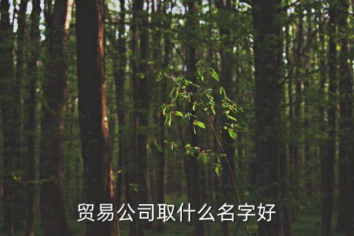 貿易公司名稱，貿易公司起名