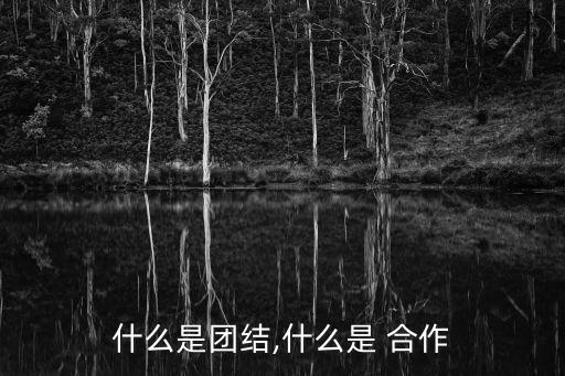 什么是團結,什么是 合作