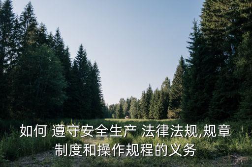 遵守法律法規(guī),憲法是法的根不可能納入實(shí)體法