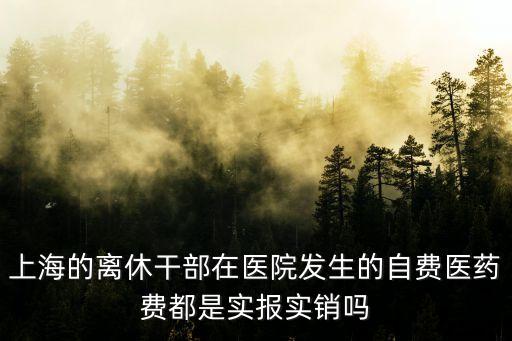 上海的離休干部在醫院發生的自費醫藥費都是實報實銷嗎