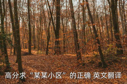 高分求“某某小區(qū)”的正確 英文翻譯