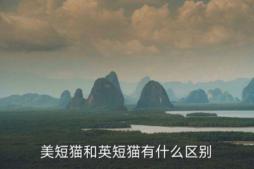 美短貓和英短貓有什么區(qū)別