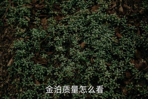  金泊質量怎么看