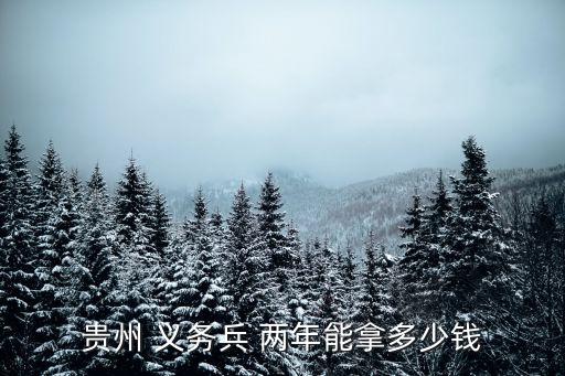 兩年義務兵回來一共能拿多少錢,兵役制度是怎么一回事?