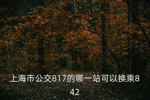 上海市公交817的哪一站可以換乘842