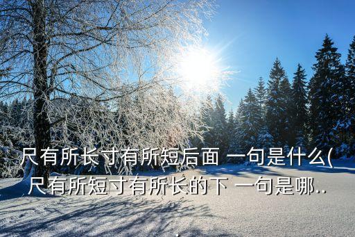 尺有所短的下一句,第二集:尺有所短，寸有所長第三集