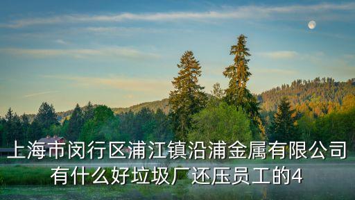 上海市閔行區浦江鎮沿浦金屬有限公司有什么好垃圾廠還壓員工的4