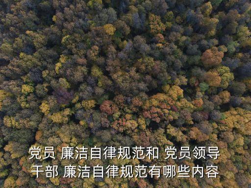 黨員干部廉潔自律,leader-2規范第五條要廉潔從政