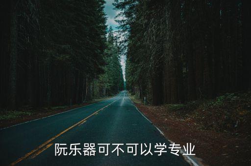 阮樂器可不可以學專業