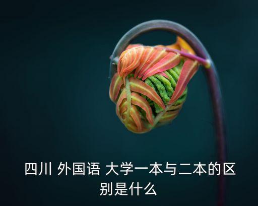 四川外國(guó)語(yǔ)大學(xué)是幾本,四川外國(guó)語(yǔ)大學(xué)本科第一批招收普通專業(yè)