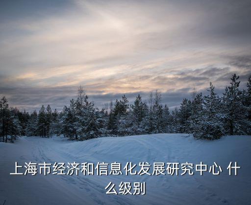 上海市經濟和信息化發展研究中心 什么級別