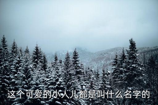 可愛小人，有誰知道這圖片里面的可愛小人叫什么名字啊