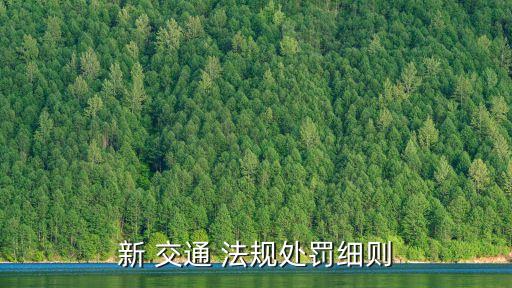 最新交通法規,違反道路交通安全法非機動車駕駛人可被罰款