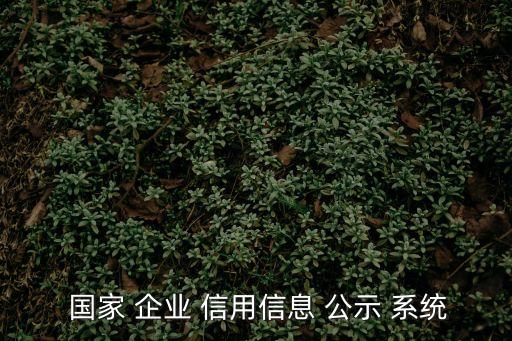 國家企業信用公示系統