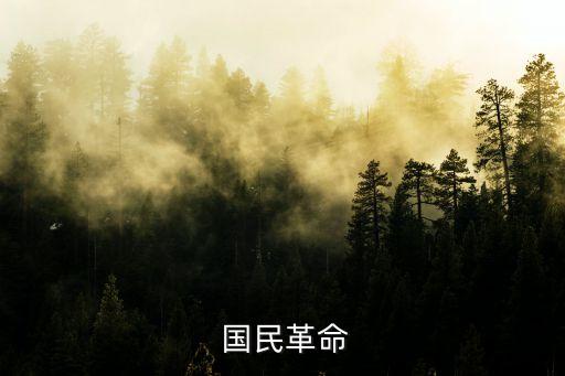 國民大革命,中國國民黨第一次全國代表大會在廣州召開