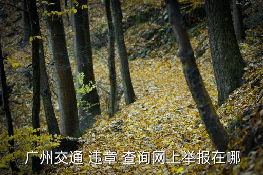廣州違章查詢,廣東省支持交通違章查詢網(wǎng)上提醒