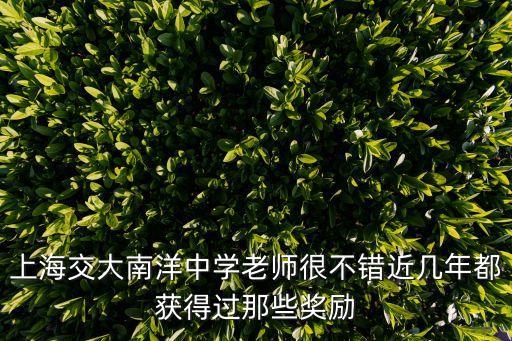 上海市教師獎，上海交大南洋中學(xué)老師很不錯近幾年都獲得過那些獎勵