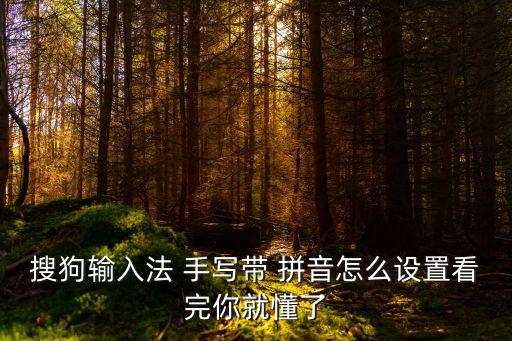 搜狗輸入法 手寫帶 拼音怎么設置看完你就懂了