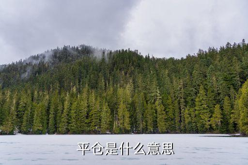  平倉是什么意思