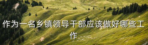 作為一名鄉鎮領導干部應該做好哪些工作