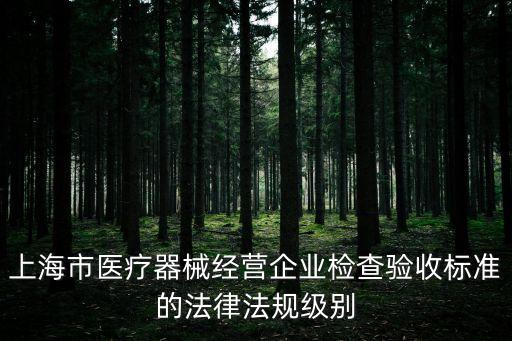 上海市藥監局檢查，上海市食品藥品監督管理局