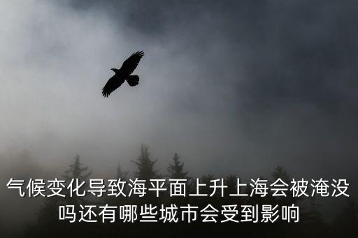 氣候變化導(dǎo)致海平面上升上海會(huì)被淹沒(méi)嗎還有哪些城市會(huì)受到影響