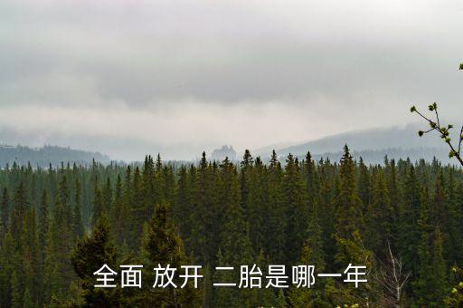 全面放開(kāi)二胎,法律解析:開(kāi)放二孩政策是違反人口與計(jì)劃生育法