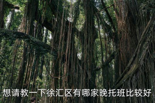 想請教一下徐匯區(qū)有哪家晚托班比較好