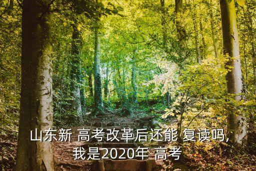 山東高考復讀,高考改革對復讀學生沒有任何反響