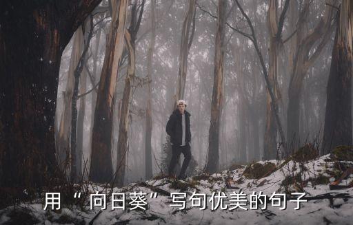綻放的向日葵漫畫,第二集:向日葵