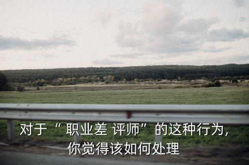 職業(yè)差評(píng)師,職業(yè)poor評(píng)師專門(mén)用來(lái)給網(wǎng)店差評(píng)對(duì)賣(mài)家有害