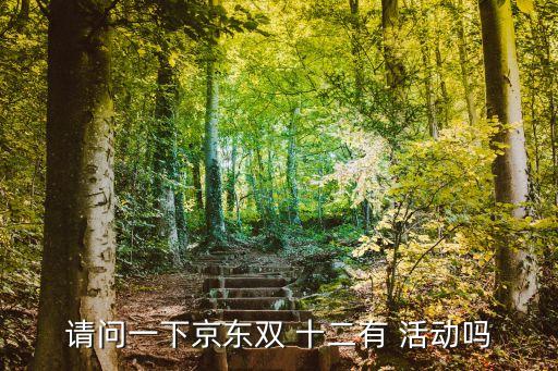 請問一下京東雙 十二有 活動嗎