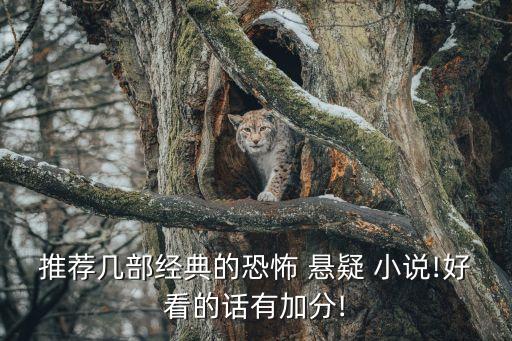 推薦幾部經(jīng)典的恐怖 懸疑 小說!好看的話有加分!