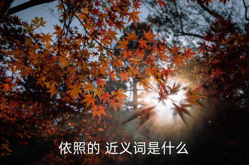 依的近義詞,根據近義word:引出行為和動作基礎