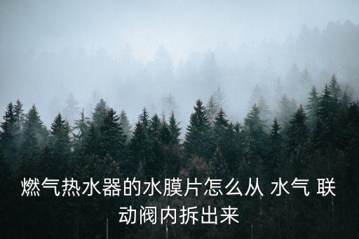水氣聯動閥,電熱水器怎么做?