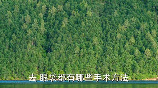 眼袋抽脂術,吸脂術眼袋手術方法:內切開法眼袋